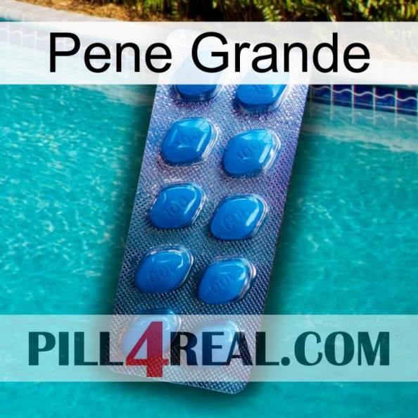 Big Penis viagra1.jpg